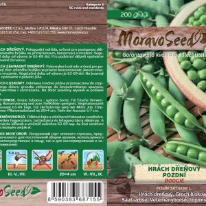 Hrach mäsitý neskorý - Pisum sativum