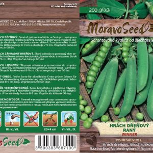 Hrach mäsitý skorý - Pisum sativum