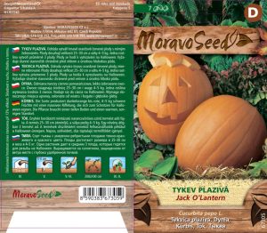 Großfruchtkürbis - Cucurbita pepo - JACK O LANTERN - rankend