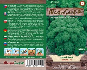 Krauskohl - Brassica oleracea L. - Kapitan F1 - grün