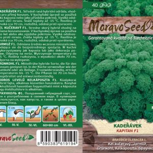Krauskohl - Brassica oleracea L. - Kapitan F1 - grün