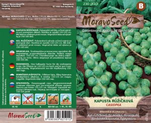 Rosenkohl - Brassica oleracea - Cassiopeia