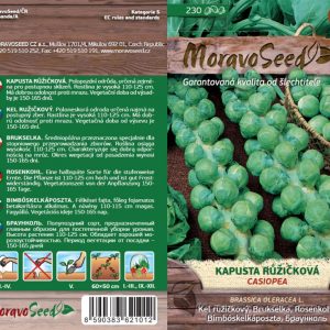 Rosenkohl - Brassica oleracea - Cassiopeia