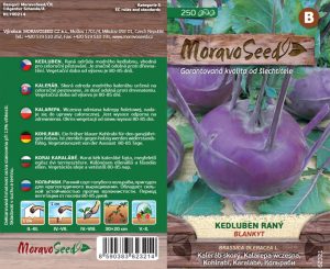 Kohlrabi früh - Brassica oleracea - blau