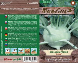 Kohlrabi spät - Brassica oleracea - Gigant - weiß