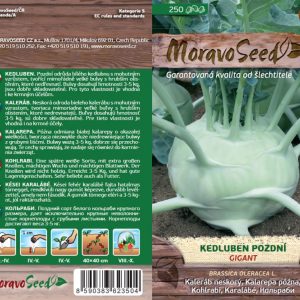 Kaleráb neskorý - Brassica oleracea - Gigant - biely