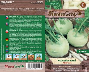 Kohlrabi früh - Brassica oleracea - weiß Korfu F1