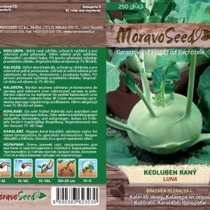 Kaleráb raný - Brassica oleracea - biely LUNA