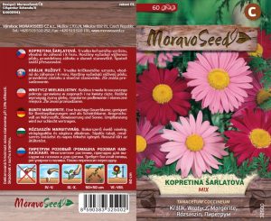 Bunte Wucherblume - Tanacetum coccineum