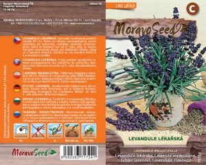 Echter Lavendel - Lavandula angustifolia