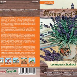Echter Lavendel - Lavandula angustifolia