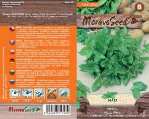 Pfefferminze - Mentha piperita