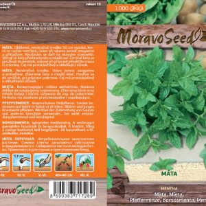Mäta pieporná - Mentha piperita