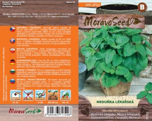 Zitronenmelisse - Melissa officinalis