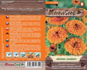 Ringelblume - Calendula officinalis
