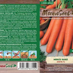 Frühe Karotte - Daucus carota L. - ANETA F1
