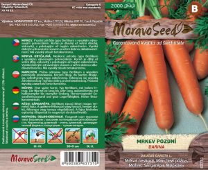 Späte Karotte - Daucus carota L. - DARINA