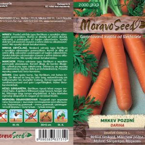 Späte Karotte - Daucus carota L. - DARINA