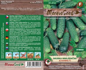 Einlegegurke grobnoppig - Cucumis sativus - ALHAMBRA F1