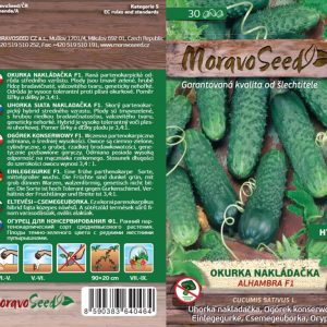 Einlegegurke grobnoppig - Cucumis sativus - ALHAMBRA F1