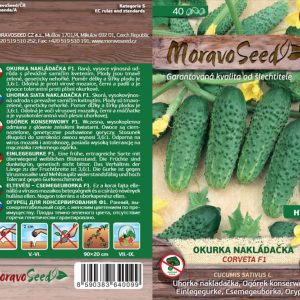 Einlegegurke grobnoppig - Cucumis sativus - CORVETA F1
