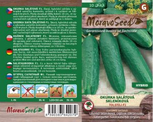 Salatgurke Gewächshaus - Cucumis sativus - TOLSTOJ F1