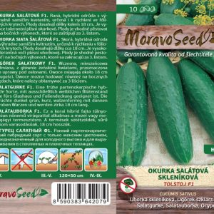 Salatgurke Gewächshaus - Cucumis sativus - TOLSTOJ F1