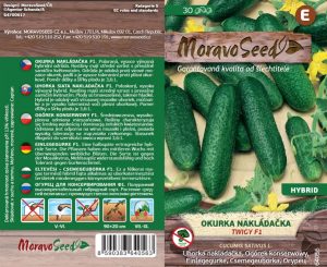 Salatgurke Freiland - Cucumis sativus - JOGGER F1