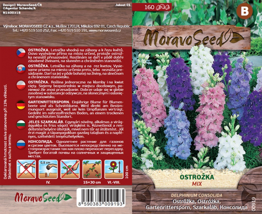 Ostrožka mix - různobarevné květy (růžové, fialové, bílé) ve venkovské zahradě s listnatým pozadím