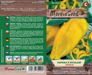 Treibpaprika - Capsicum annuum - Patrícia