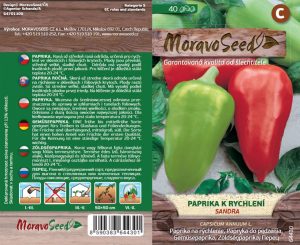Treibpaprika - Capsicum annuum - Sandra
