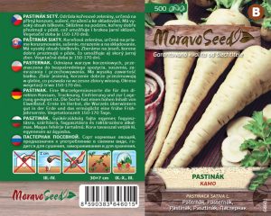 Pastinake - Pastinaca sativa L. - KAMO