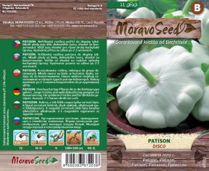 Patisson weiß - Cucurbita pepo - DISCO