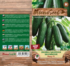 Salatgurke Gewächshaus - Cucumis sativus - PONY F1