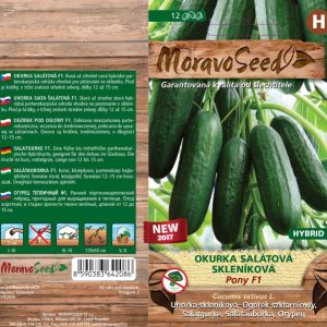 Salatgurke Gewächshaus - Cucumis sativus - PONY F1