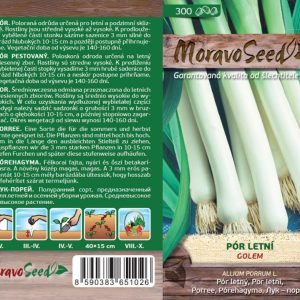 Pór letný -  Allium porrum L. - GOLEM