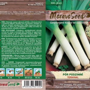 Herbst-Porree - Allium porrum L. - TERMINAL