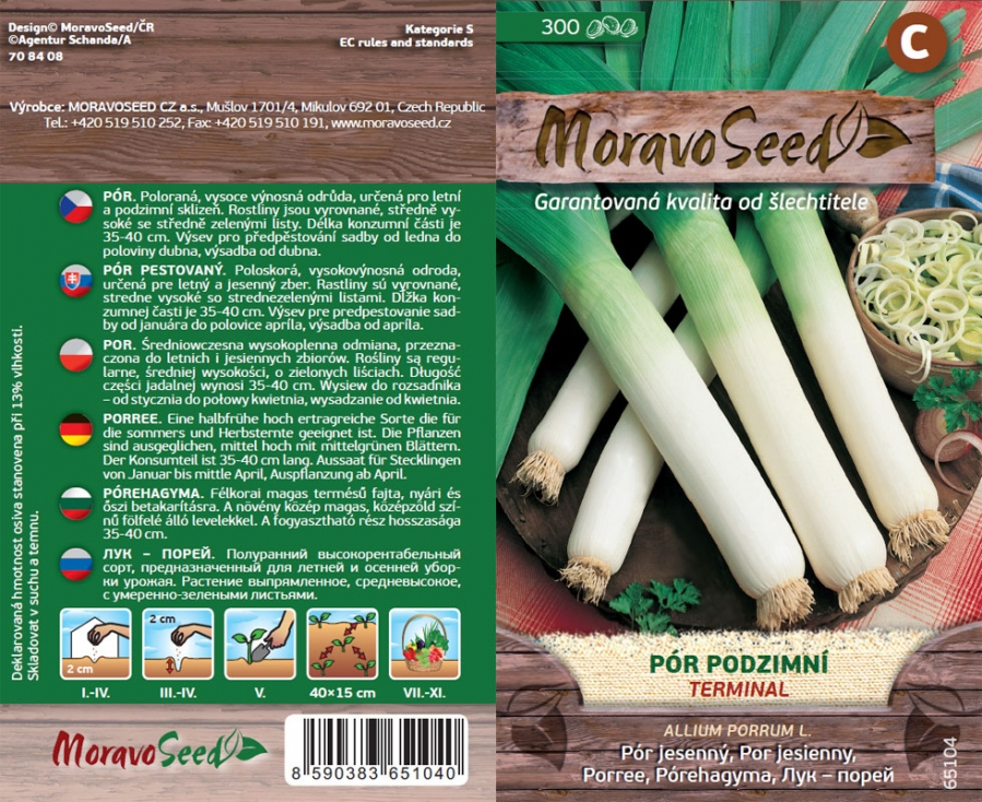 Herbst-Porree - Allium porrum L. - TERMINAL