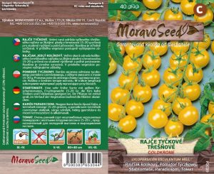 Stabtomate - Lycopersicon esculentum Mill. - GOLDKRONE - Cherry, gelb