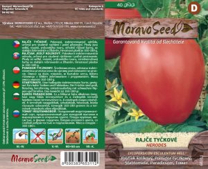 Stabtomate - Lycopersicon esculentum Mill. - HERODES - Ochsenherz