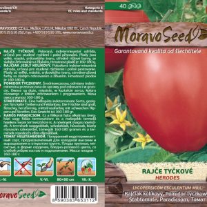 Stabtomate - Lycopersicon esculentum Mill. - HERODES - Ochsenherz