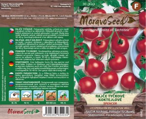 Stabtomate - Lycopersicon esculentum Mill. - SPENCER - Cocktail