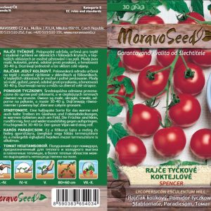 Stabtomate - Lycopersicon esculentum Mill. - SPENCER - Cocktail