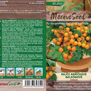 Buschtomate - Lycopersicon esculentum Mill. - VENUS - Balkon, orange