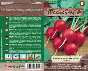 Radieschen - Raphanus sativus - FARAON - rot, rund, treibend