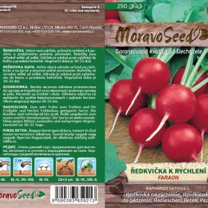 Radieschen - Raphanus sativus - FARAON - rot, rund, treibend