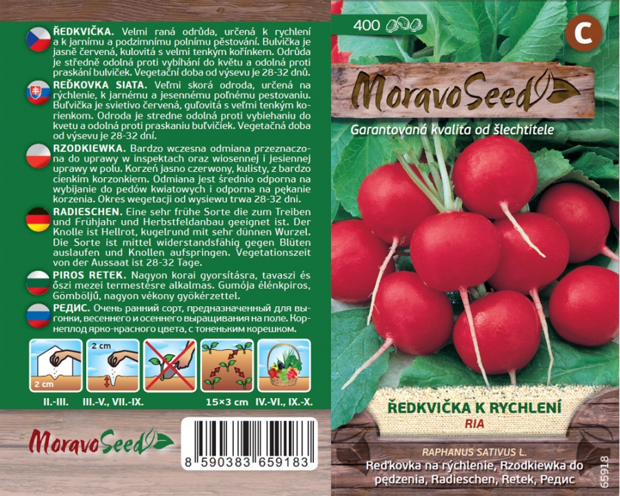 Rote Radieschen mit grünem Laub auf Holzhintergrund und Bodenschicht, Saatpaket von Moravo Seed.