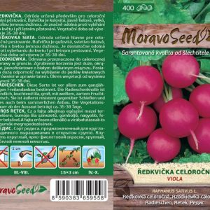 Reďkovka - Raphanus sativus - VIOLA - okrúhla, fialová