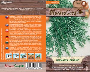 Rosmarin - Rosmarinus officinalis