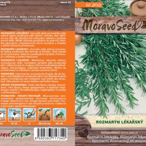 Rozmarín lekársky - Rosmarinus officinalis